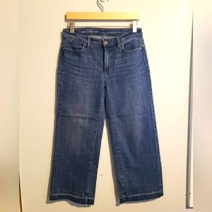 Women's Talbots "The Deck Pant" size 2 Denim Wide leg Jeans.